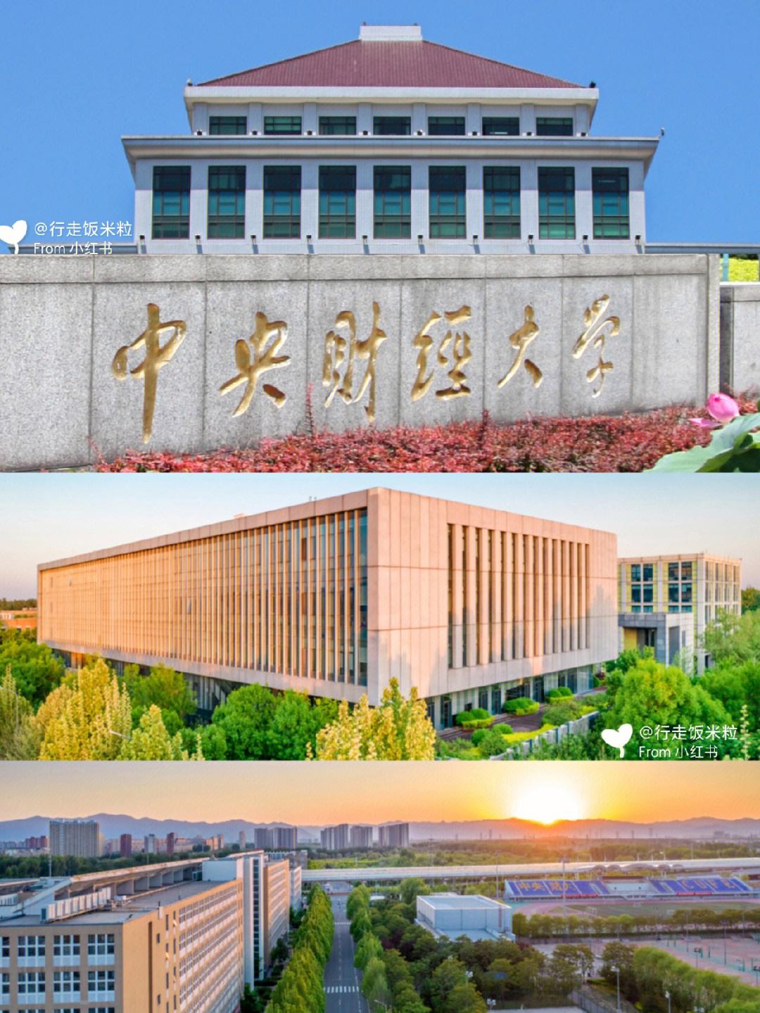 中央财经大学是985还是211