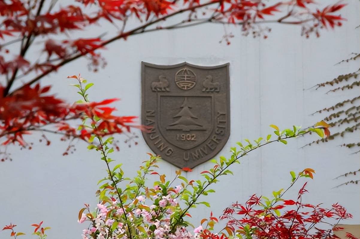 南京大学学历证书图片