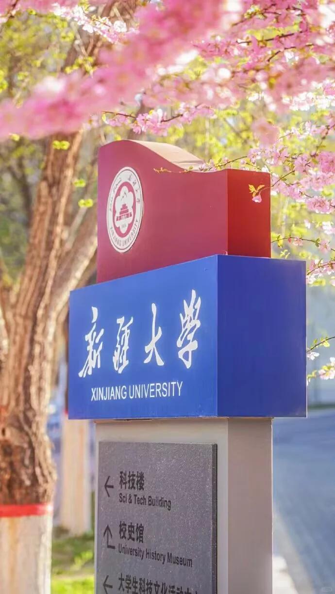 新疆大学录取分数线2024