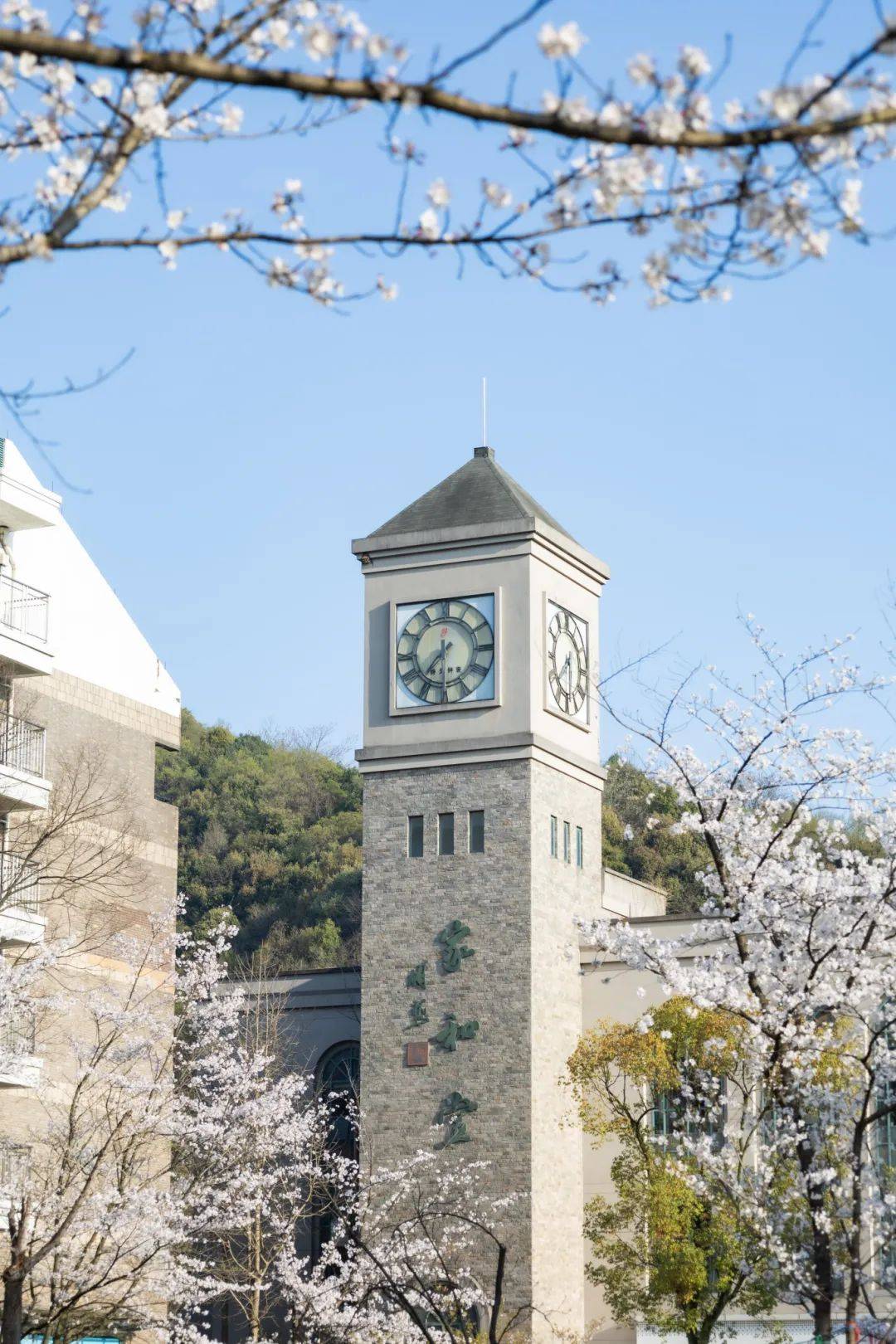 浙江工业大学是211吗